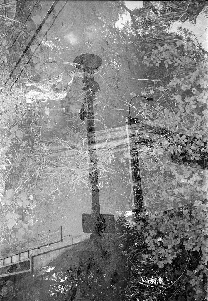 49a-2021-09-25-res 1024.jpg