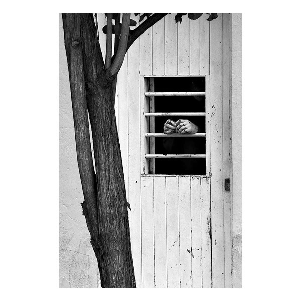 4_03a.jpg