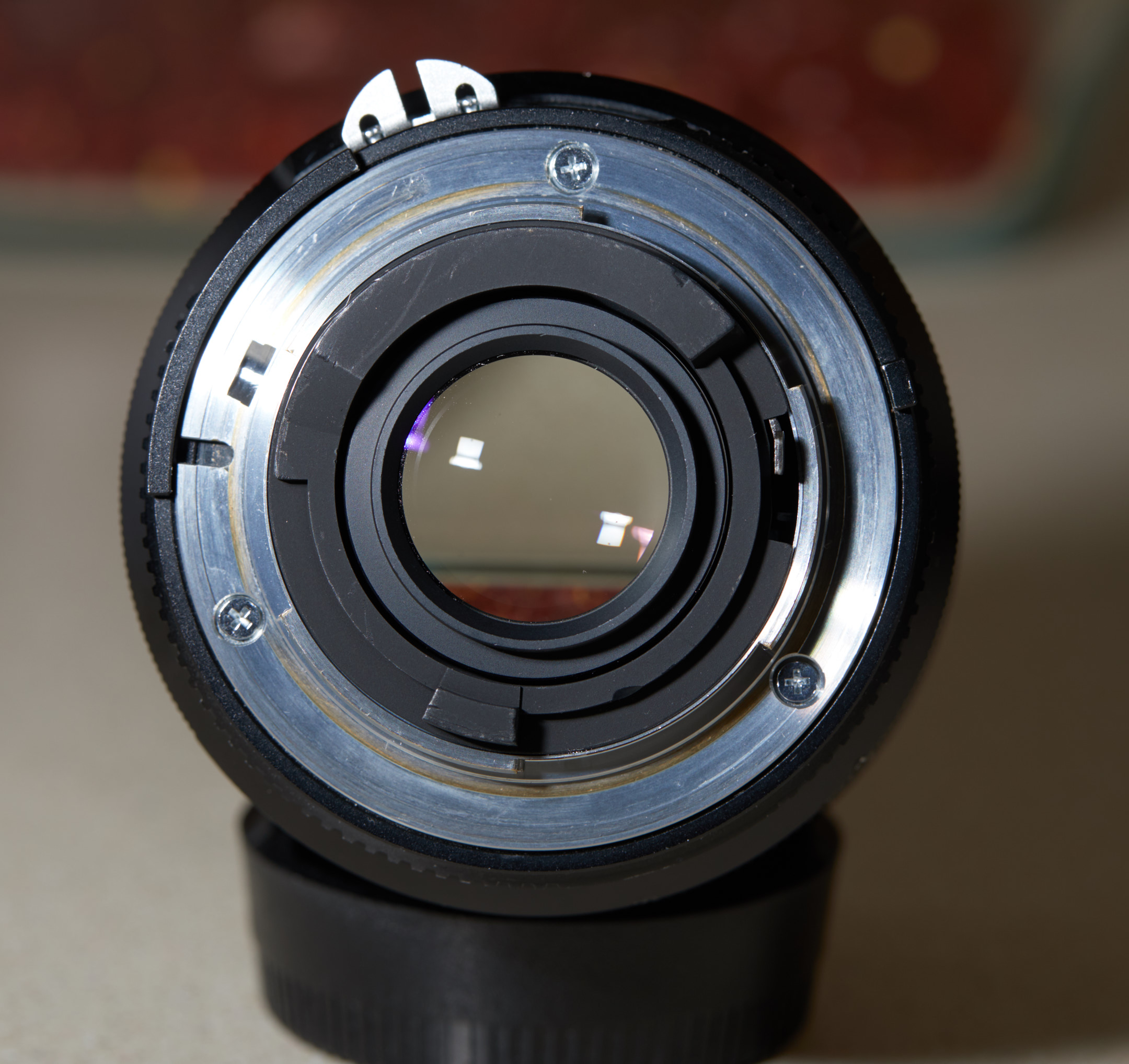 4F8A3130.jpg