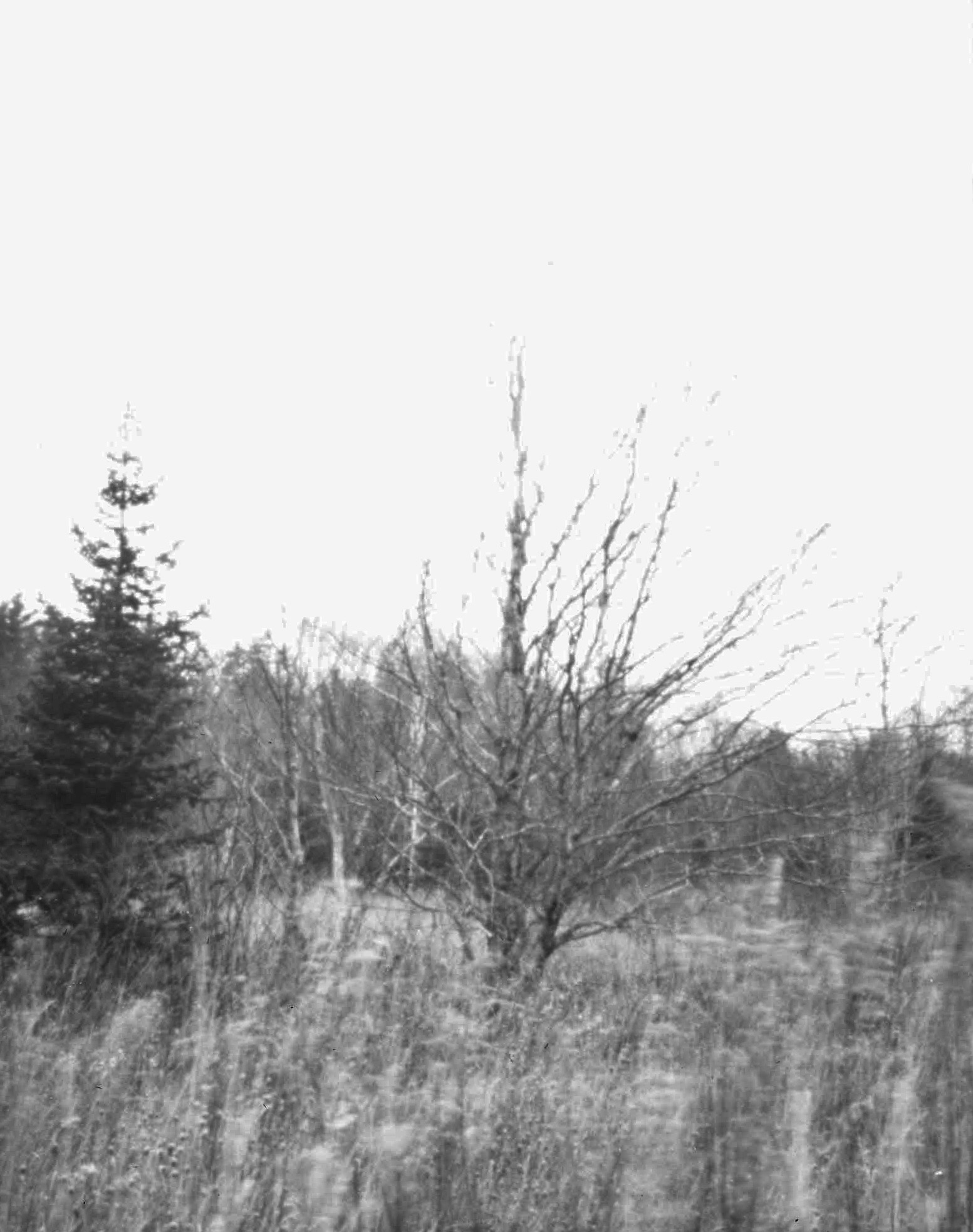 4test (1).jpg