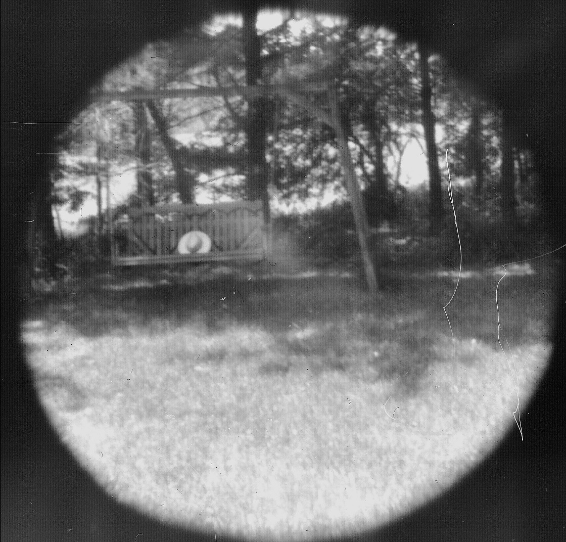 4x5 swing.jpeg