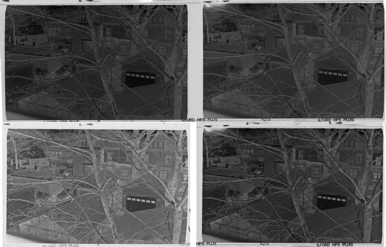 5,6,3-4 cut toned.jpg