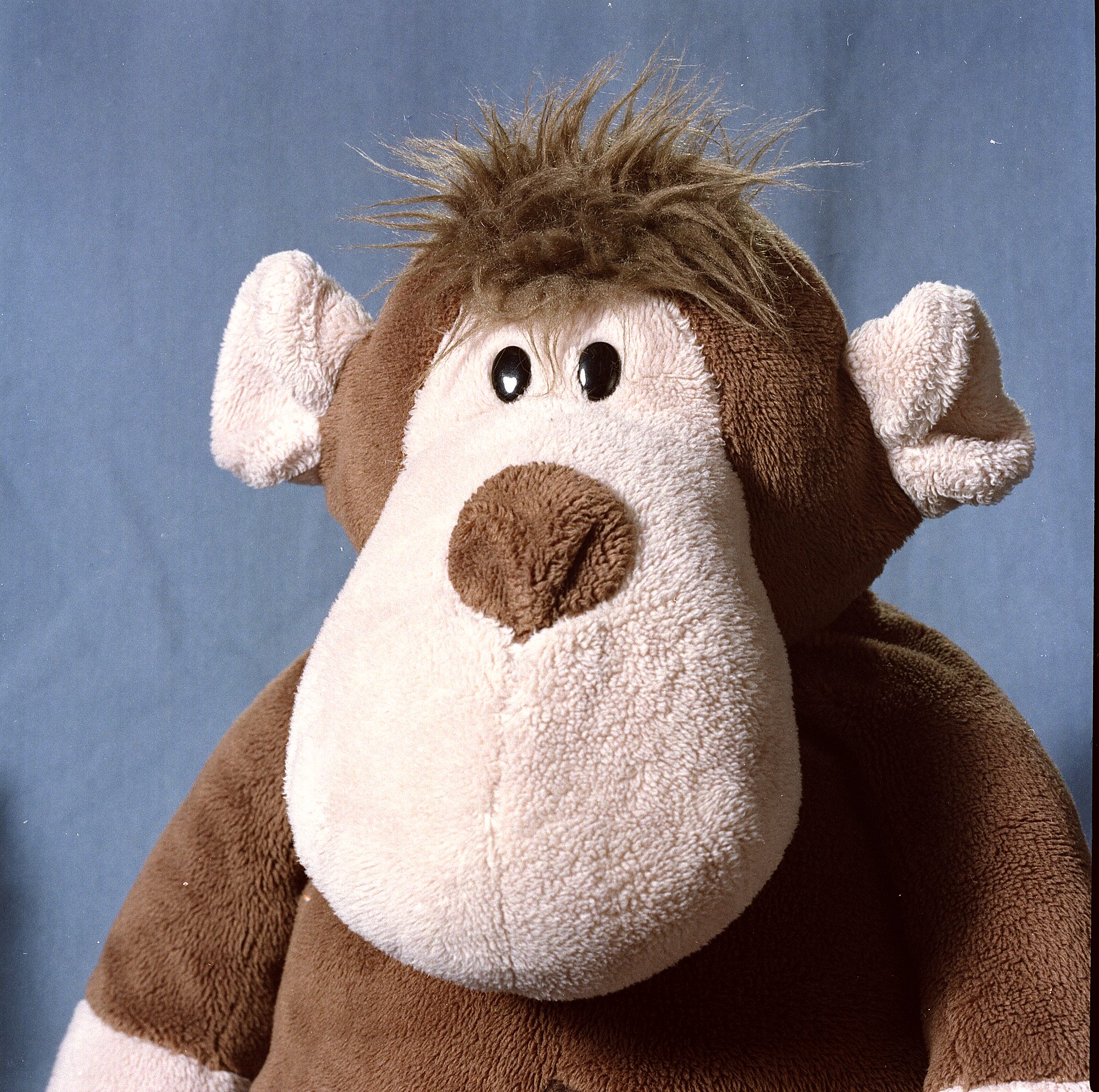 501CM Fuji Pro 160S 04.jpg