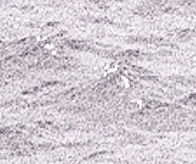 50274088511_62e7123e74_o_crop.jpg