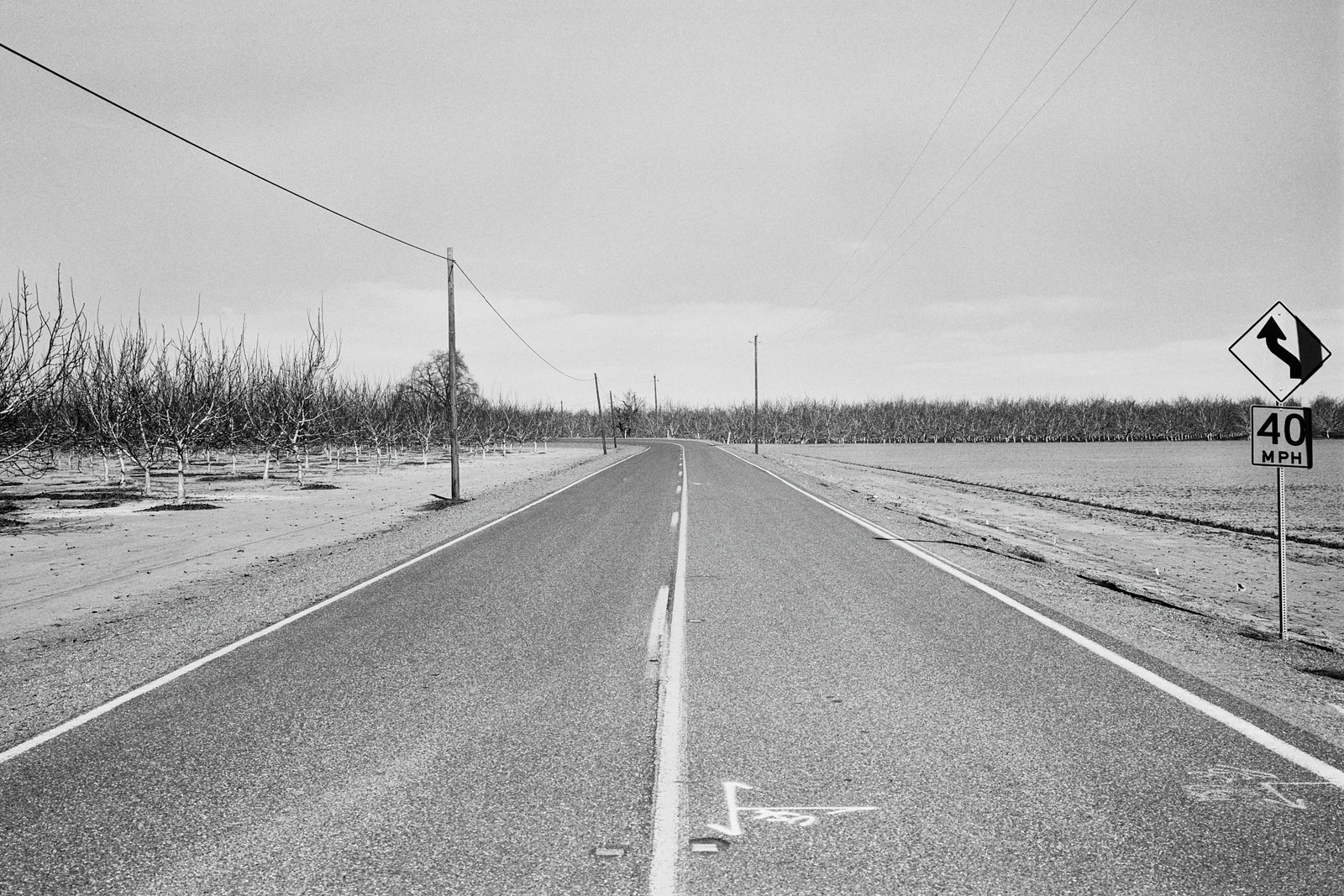 51015141872_3174c4cabb_h.jpg