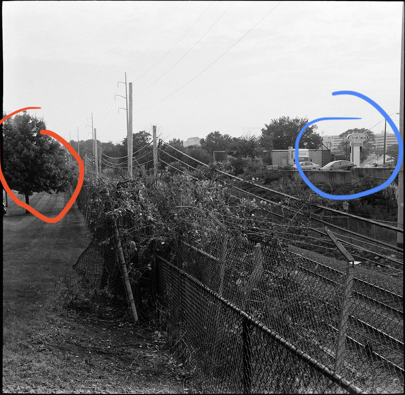 51538676667_0438e776bb_c.jpg