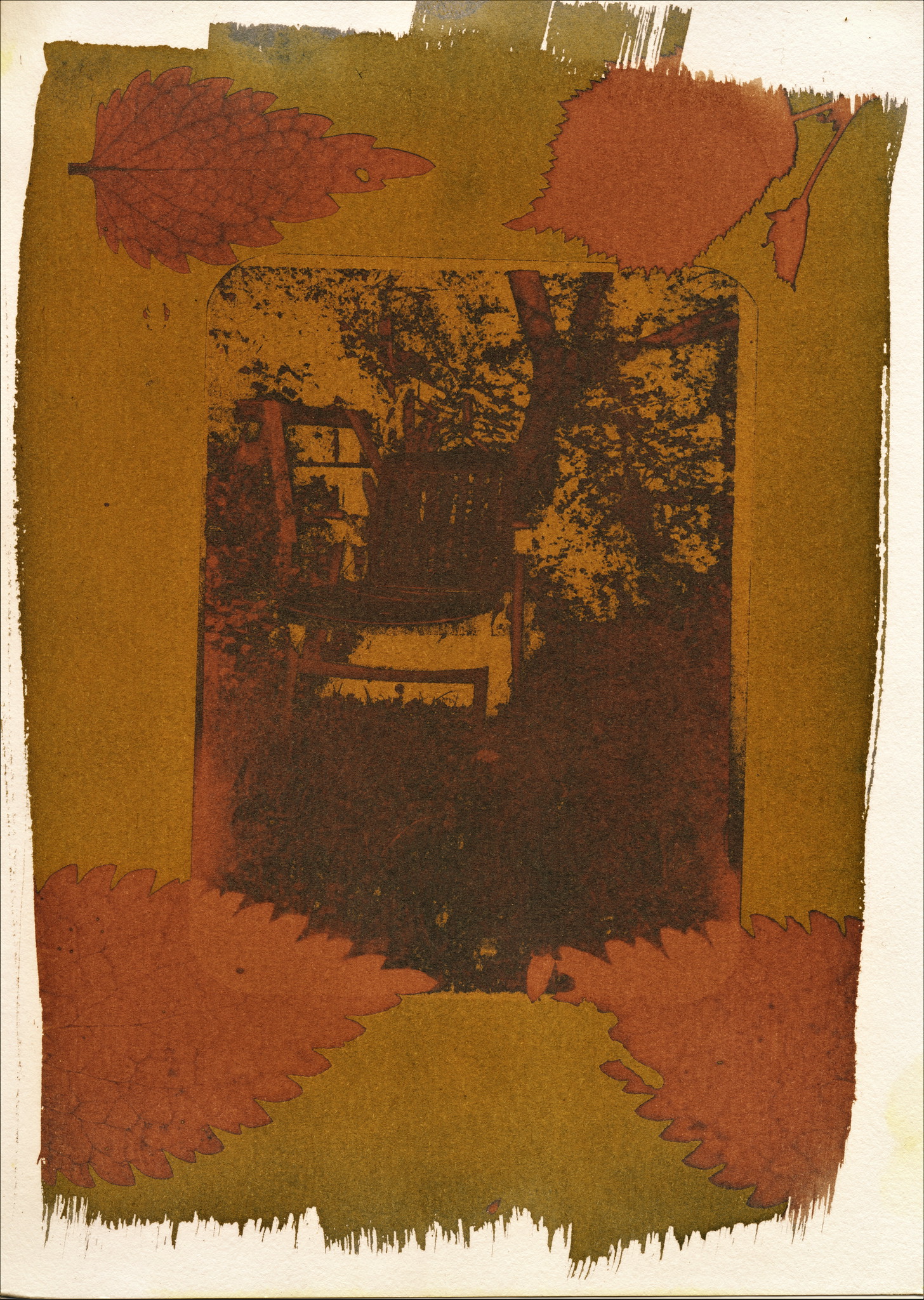 52962847978_eb09158e12_k-jpg.340892