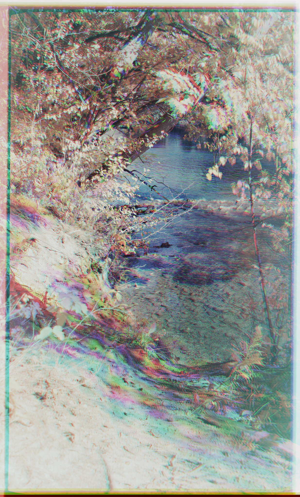 54053720736_8389023ce4_k.jpg
