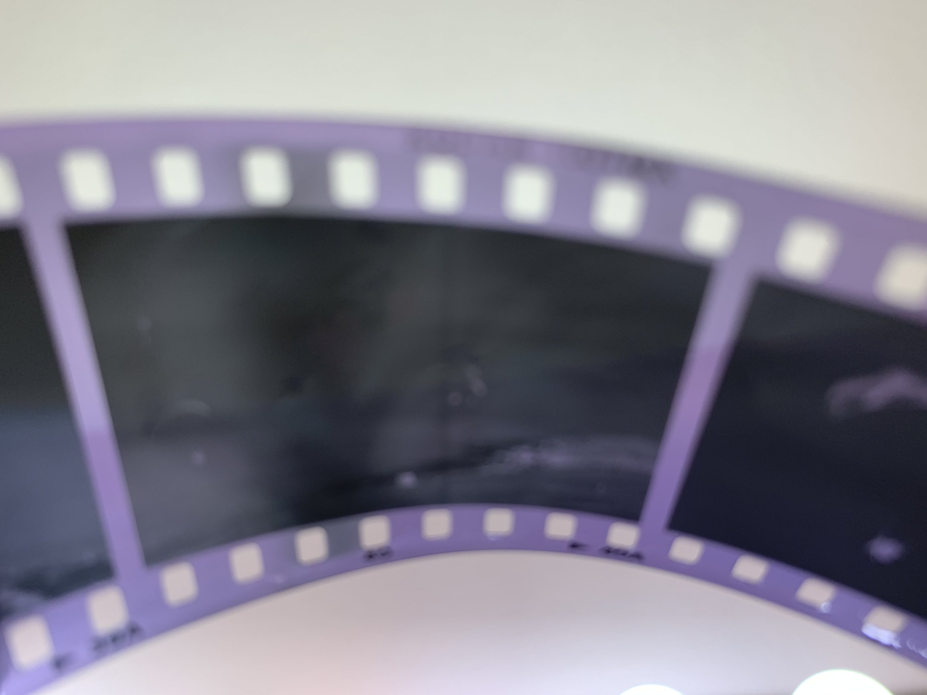 541F19F8-CF9D-429A-9986-21D803DF11E2.jpeg