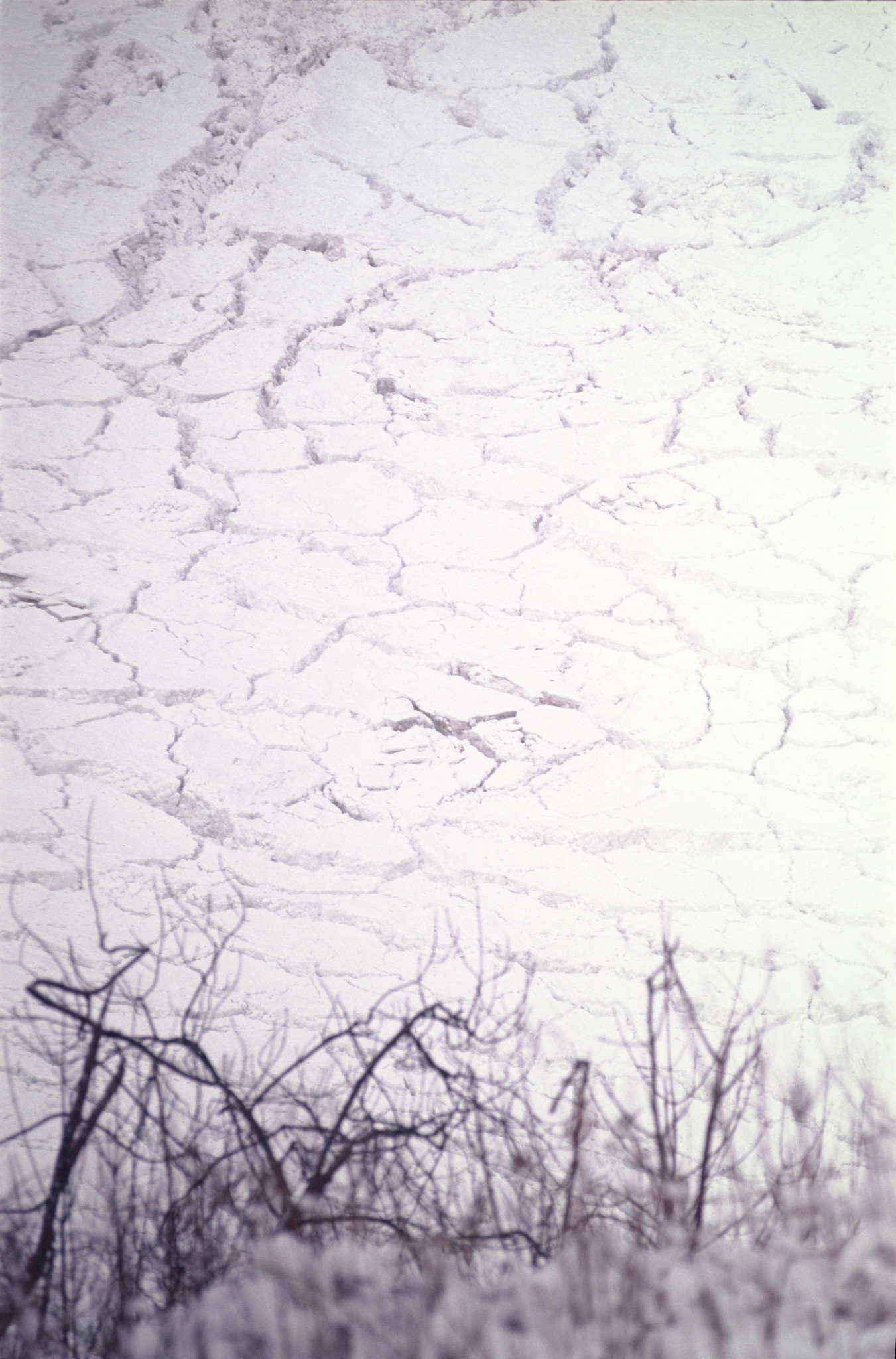 54322558832_e5caa081e3_k.jpg