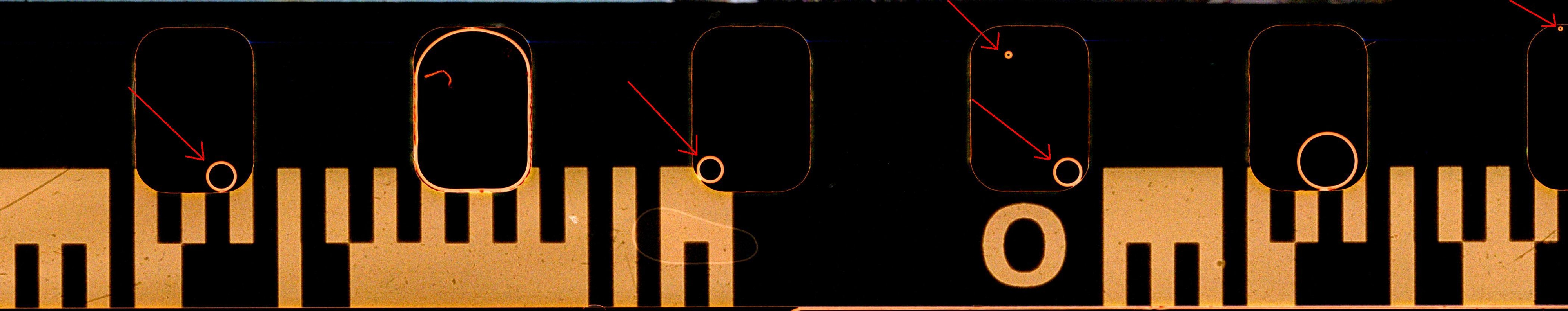 54717242390_17ae85058e_o emulsion in crop 3.JPG