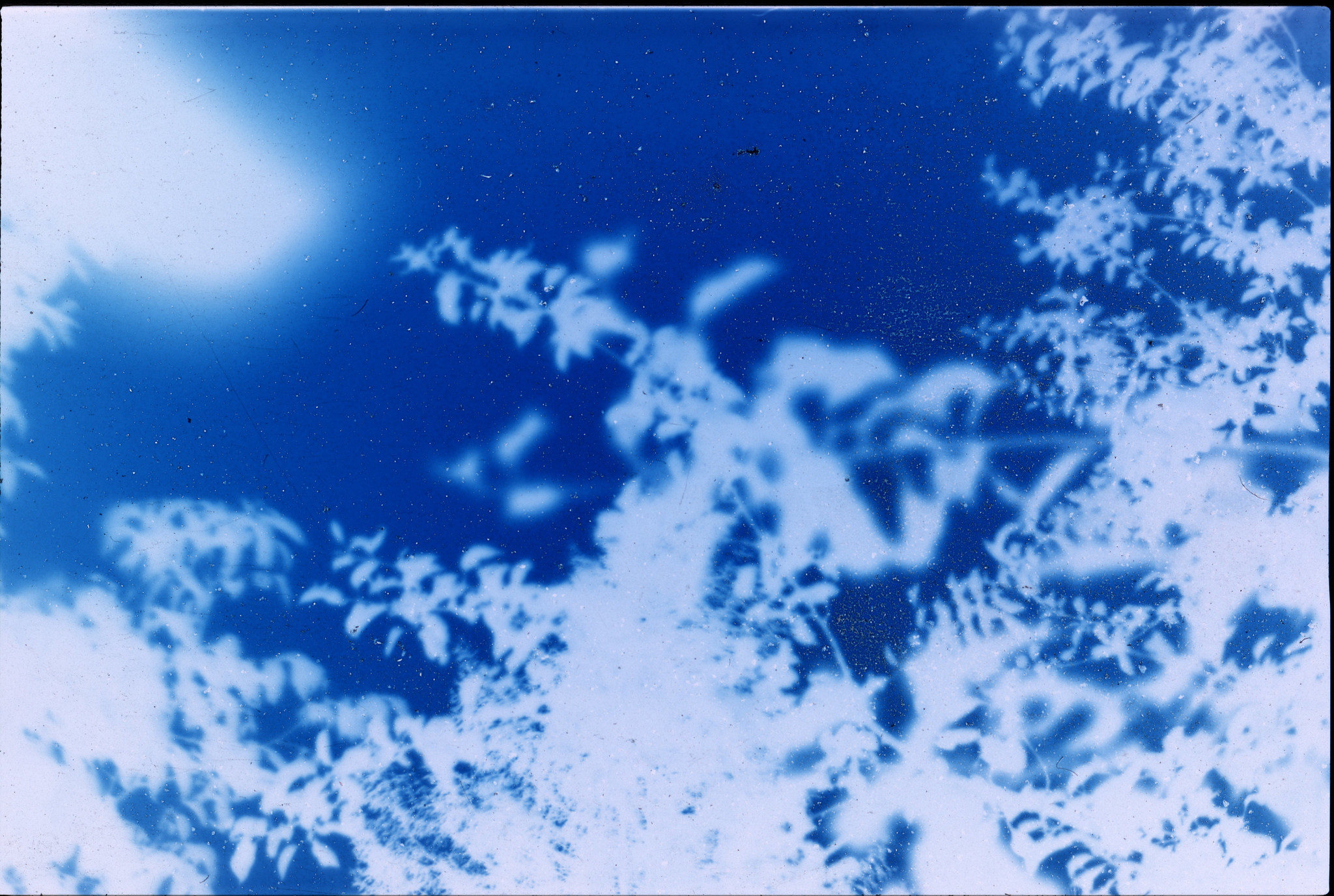 54759256924_e16c58233c_k.jpg