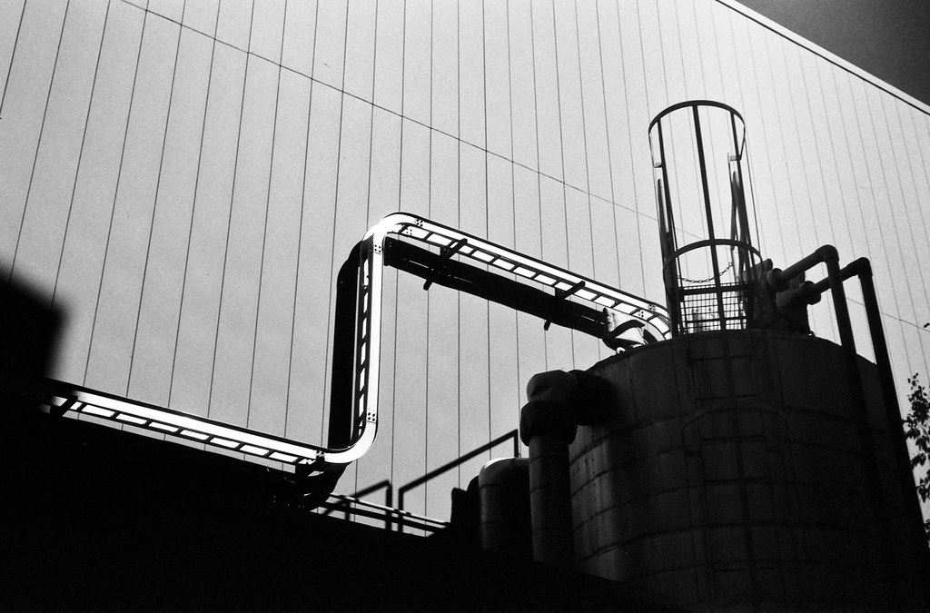 54967405195_d39dddda2f_b (1).jpg