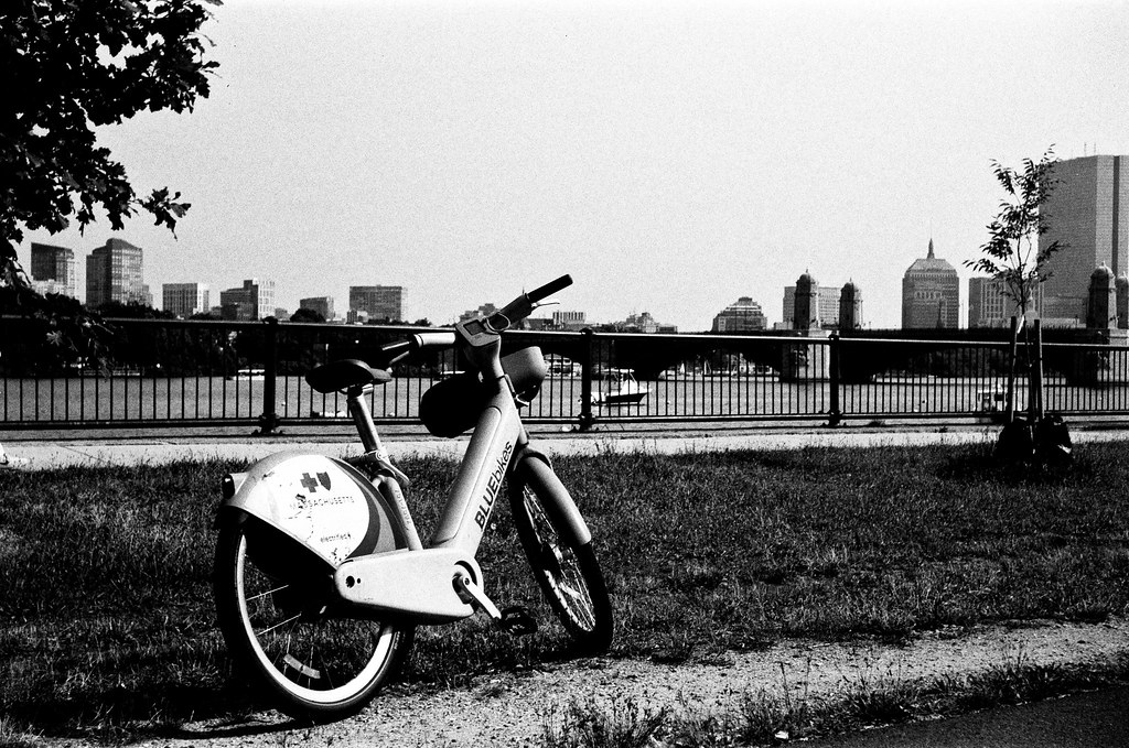 55010972660_7c2b40da49_b (1).jpg