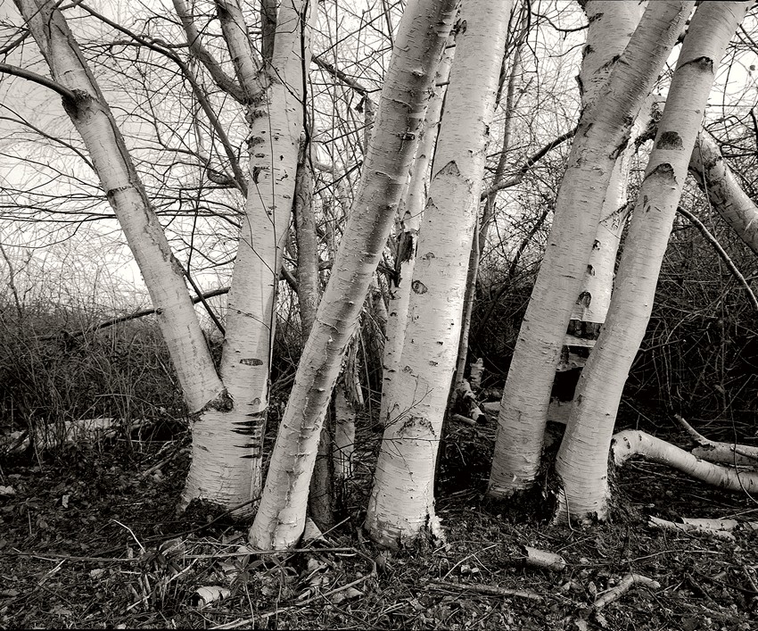 55A-2015-02-16-3.jpg