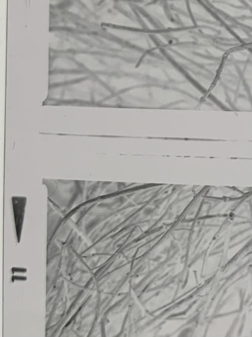 5760357A-6A22-4CCA-AD20-42337D084826.jpeg
