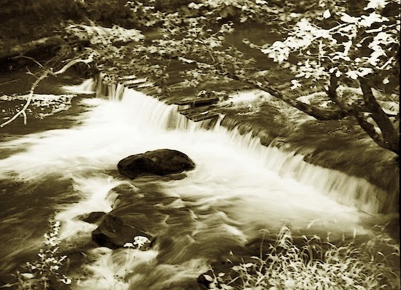 5904129320_71cb8a42e6_o.jpg