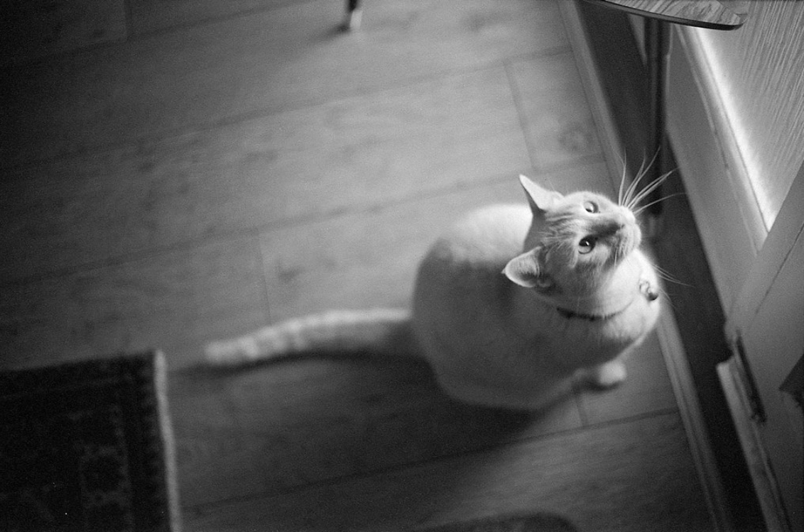 6BA43E8D-C950-48B0-8805-25D4411A7E45.jpeg