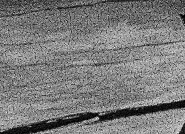 6CA79F30-F7E2-4EF5-ABDE-4B427F53E1D8.jpeg