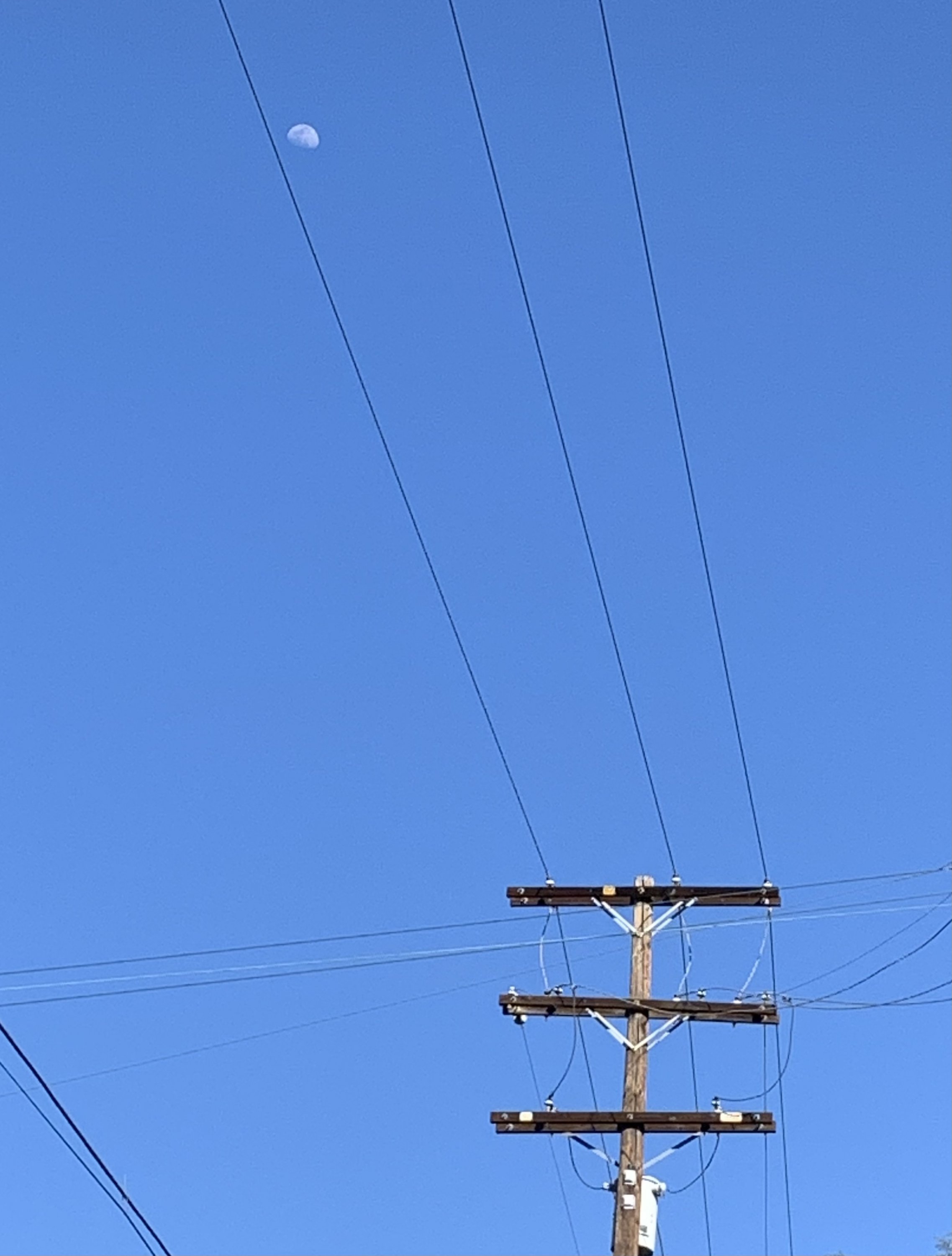 6EB341BD-F8AC-4AD6-9CF8-D92964BC710C.jpeg