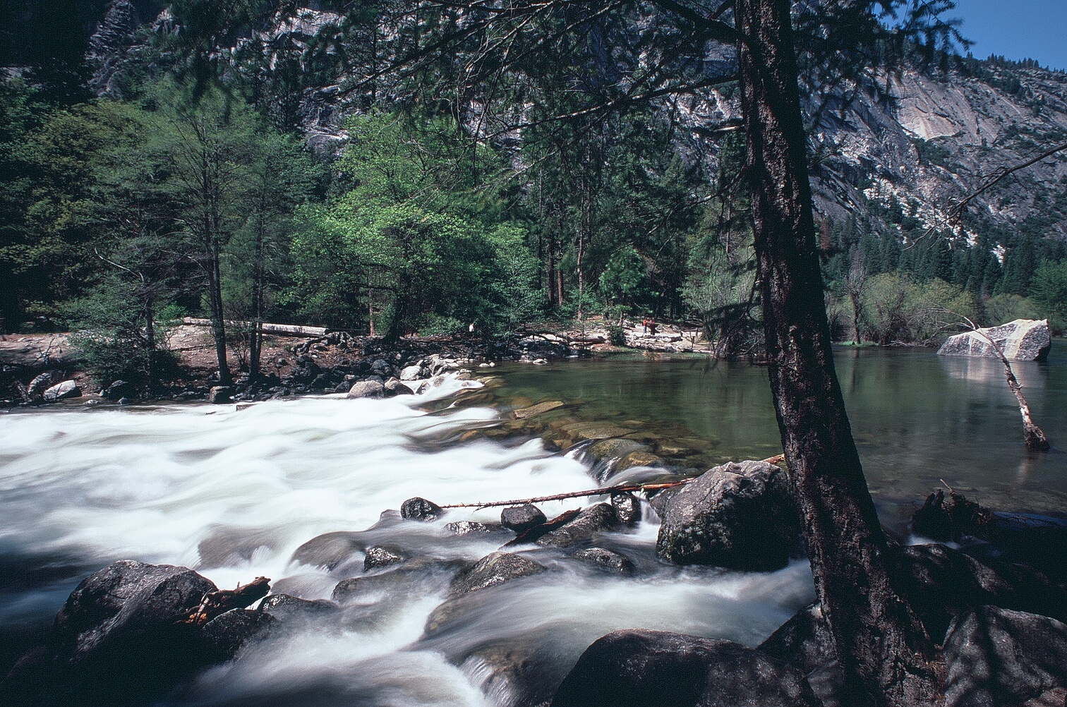 7919_21A.jpg
