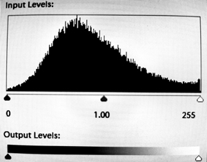 8 bit test-1.jpg
