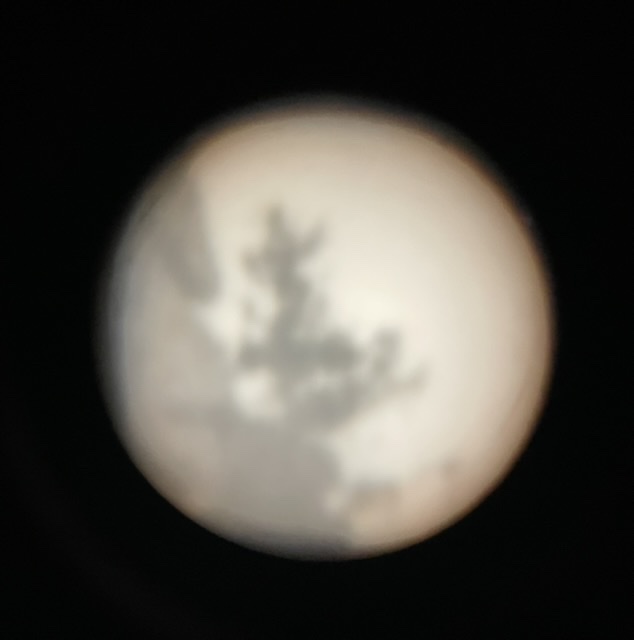 801EE2A7-509E-46F2-9F49-1BA03CE4F541.jpeg