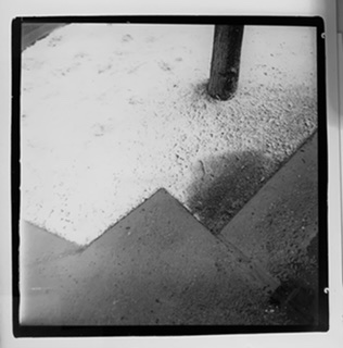 8E27A032-41E8-47F3-8A2B-F22588A51DDA.jpeg