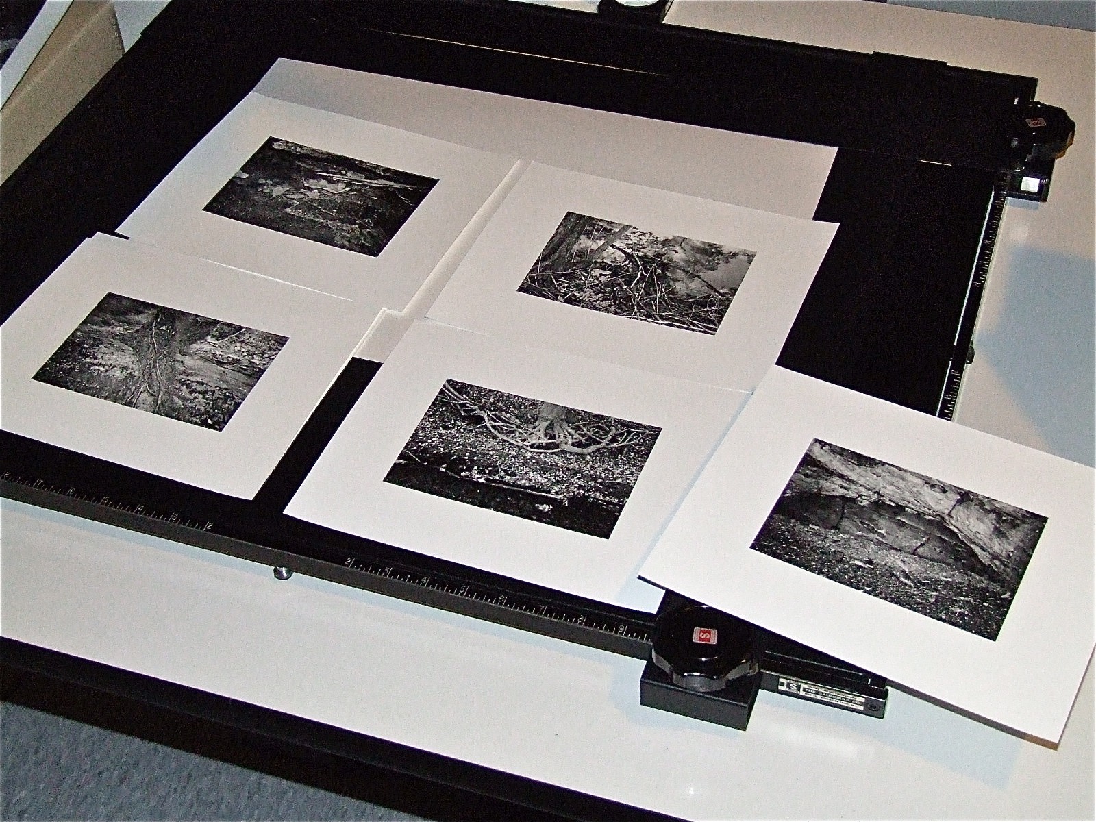 8ix10 prints.jpg