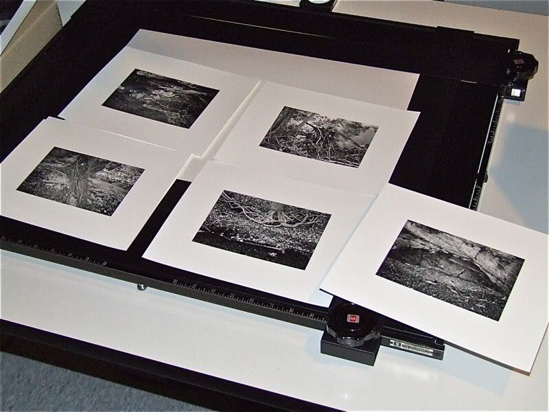 8x10prints.jpg