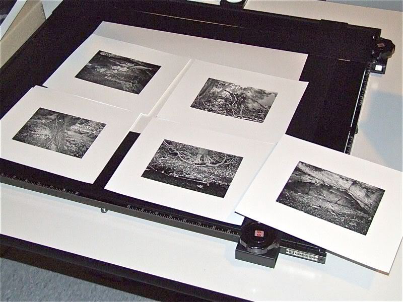 8x10prints.jpg