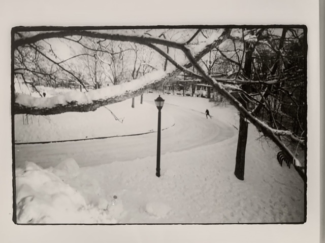 953D65F9-3D3D-4A5A-8547-272491A443D9.jpeg