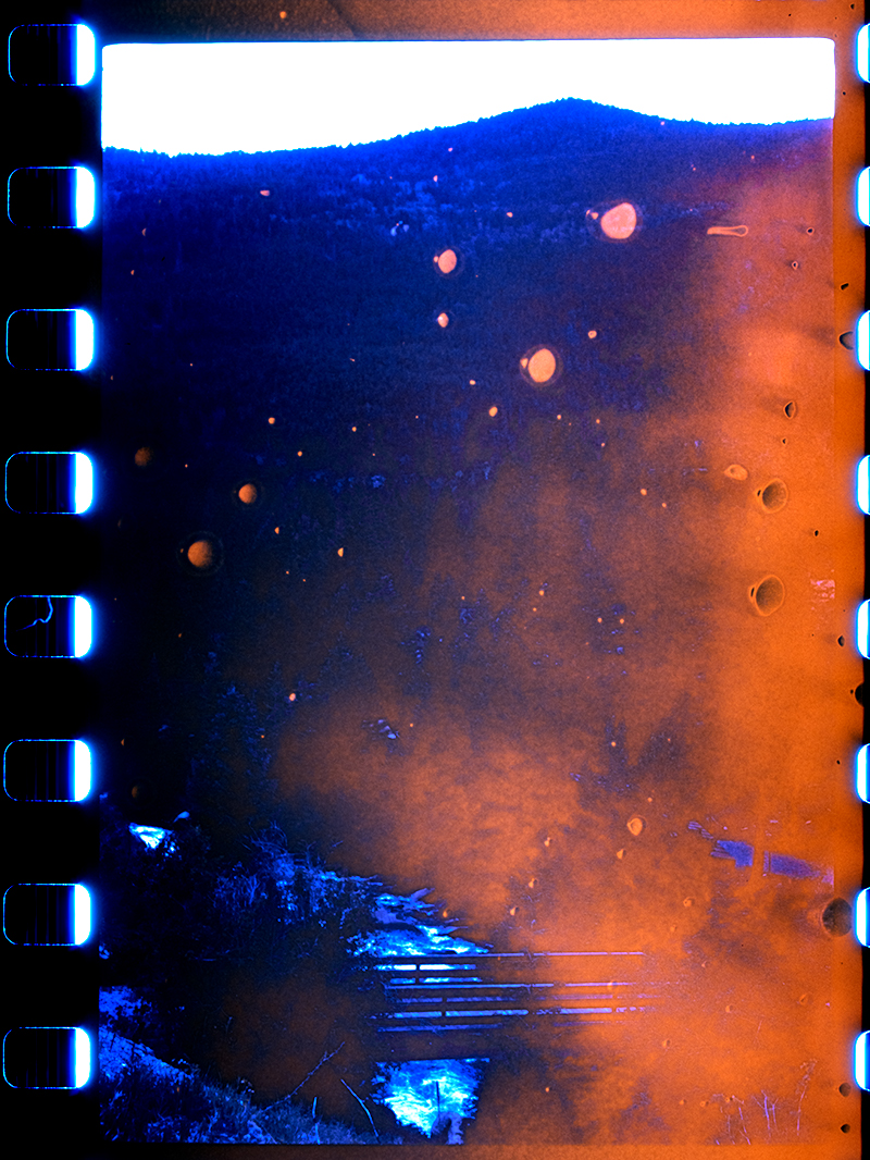 _0000061.jpg