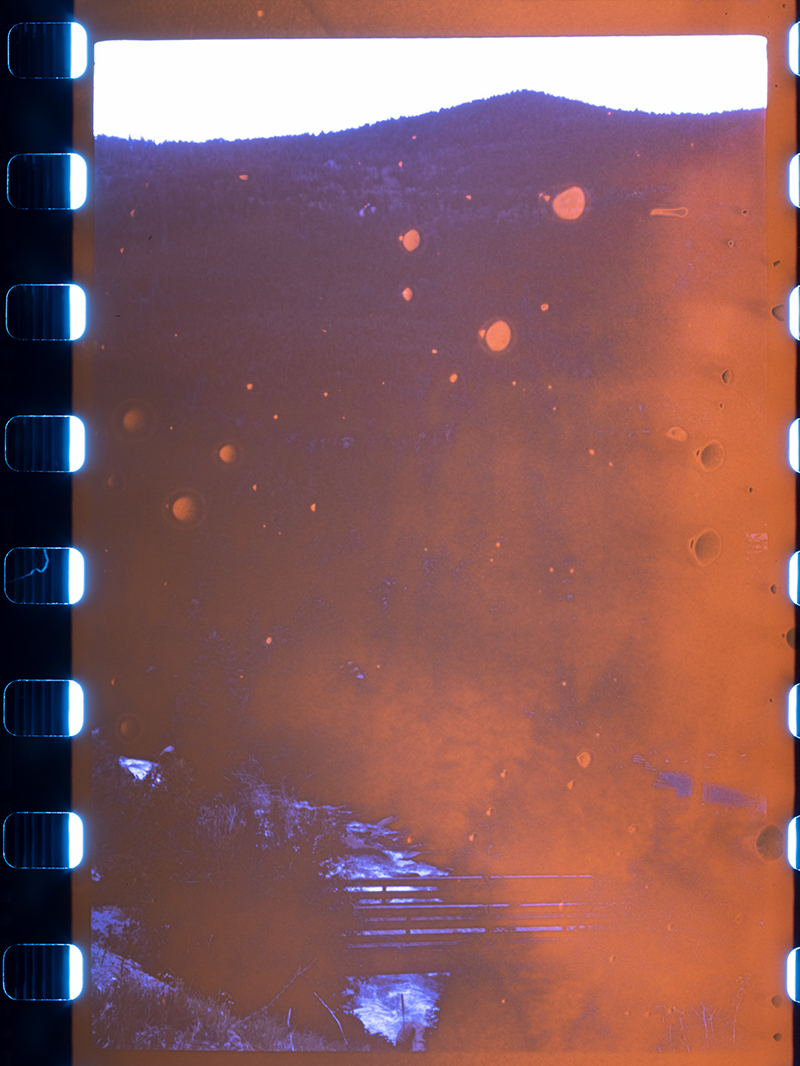 _0000061_raw.jpg