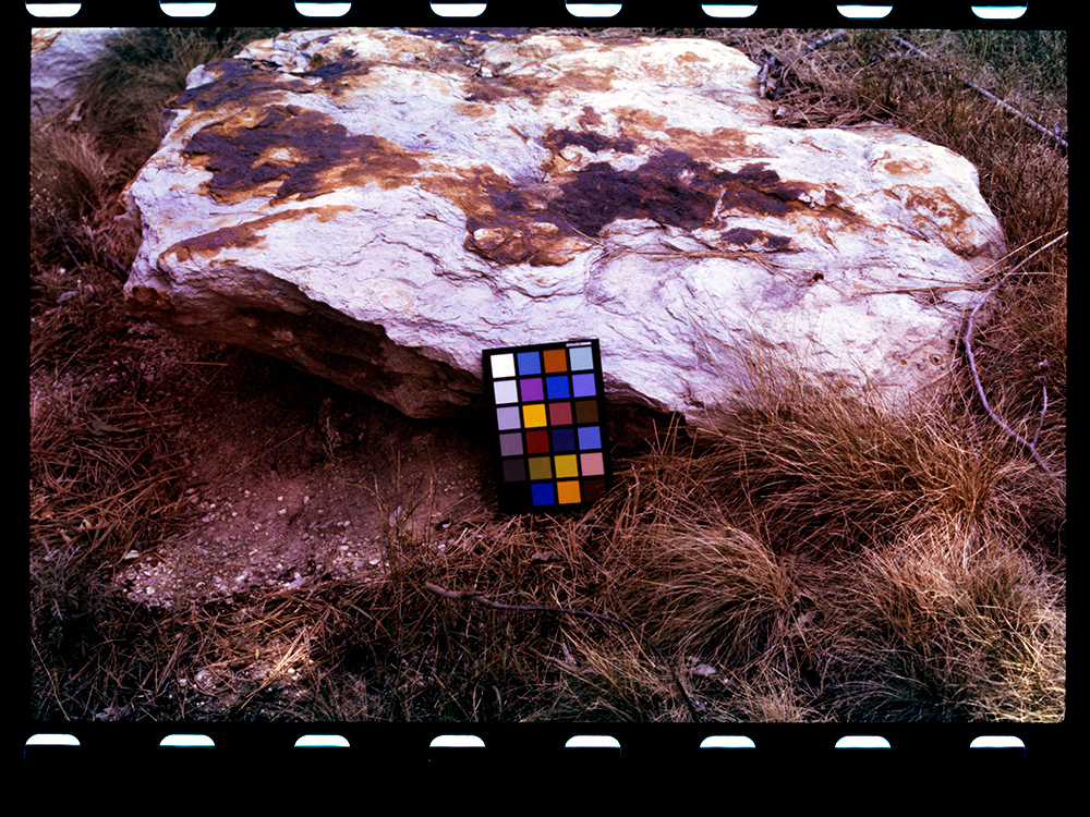 _0000095.jpg