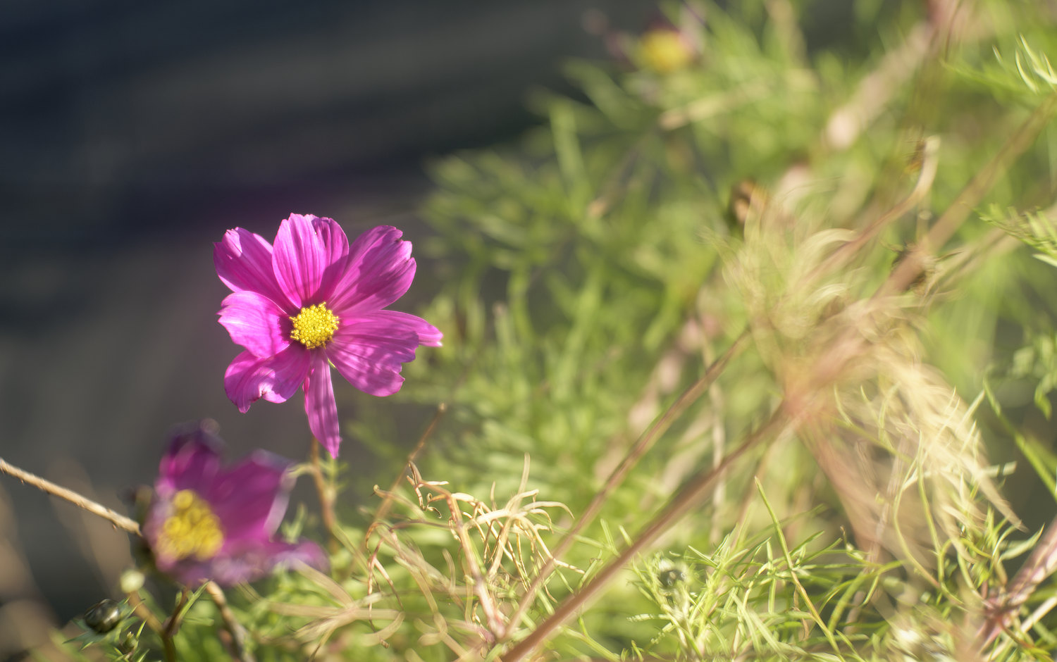 _1039037-f2.8-lr.jpg
