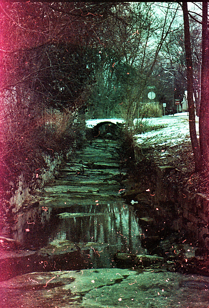 expired film shots