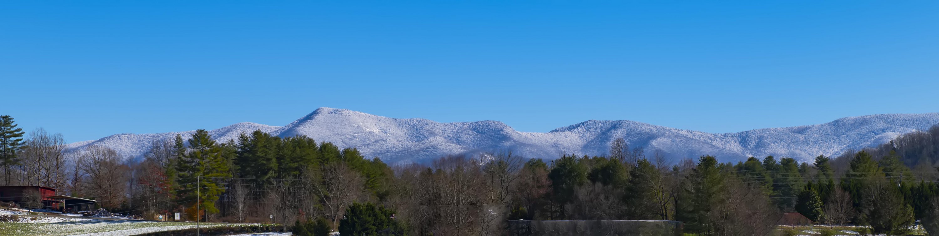 _DSC1008.jpg