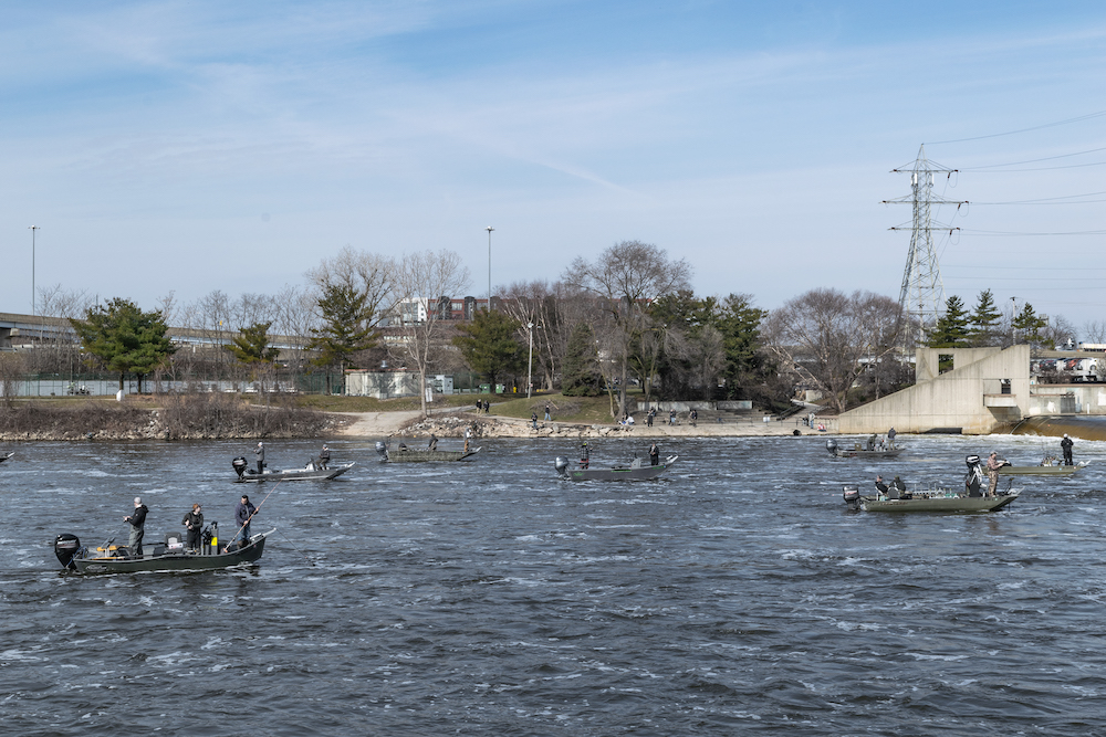 _DSC8258.jpg