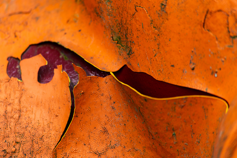 _DSC9557.jpg