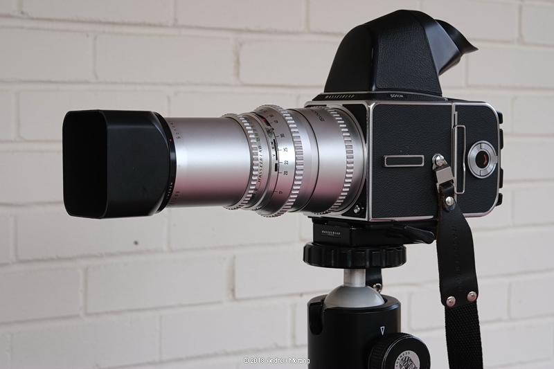 _DSF5089_Hasselblad501CM_20180120.JPG