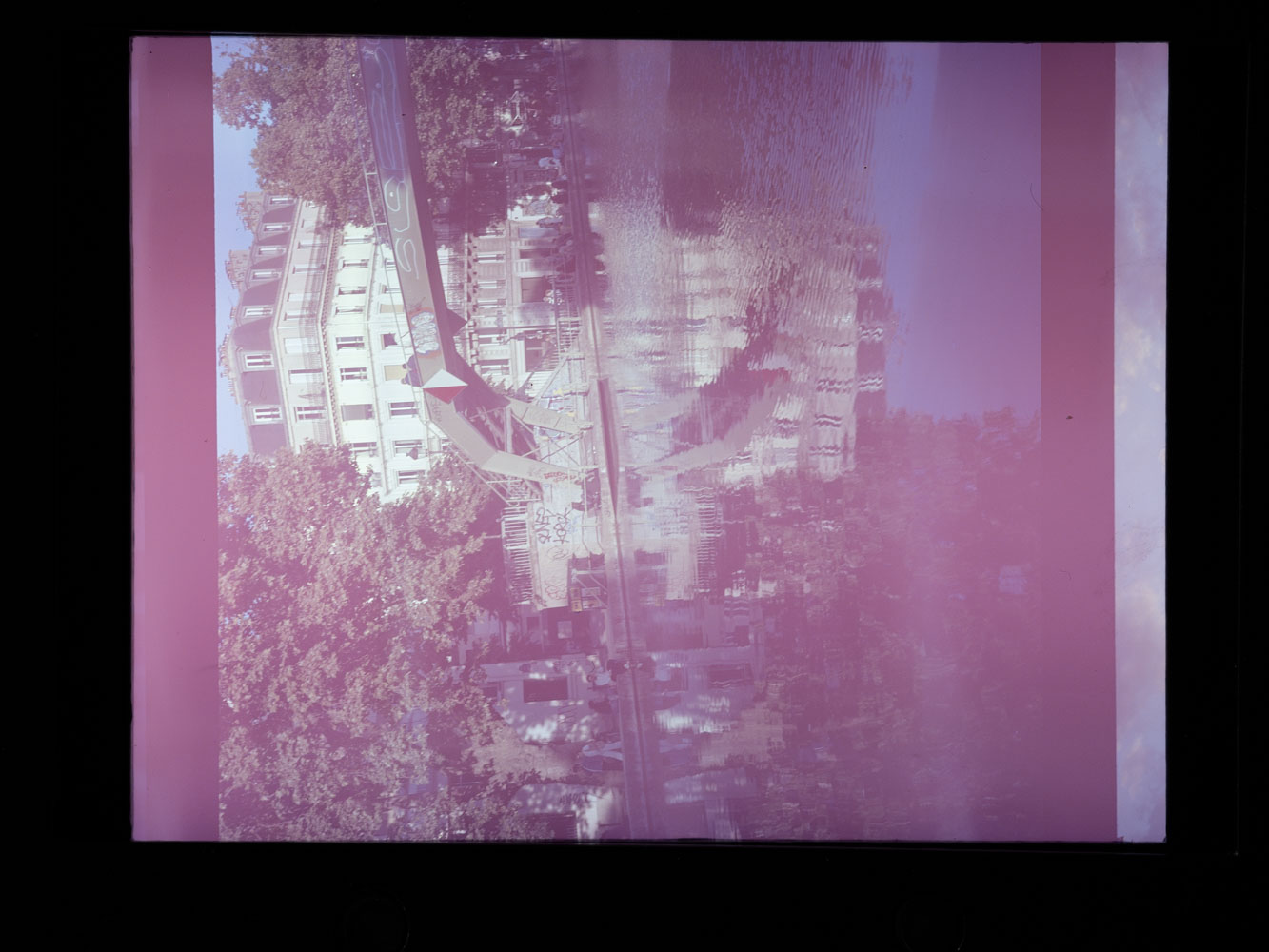 _DSF9142.jpg