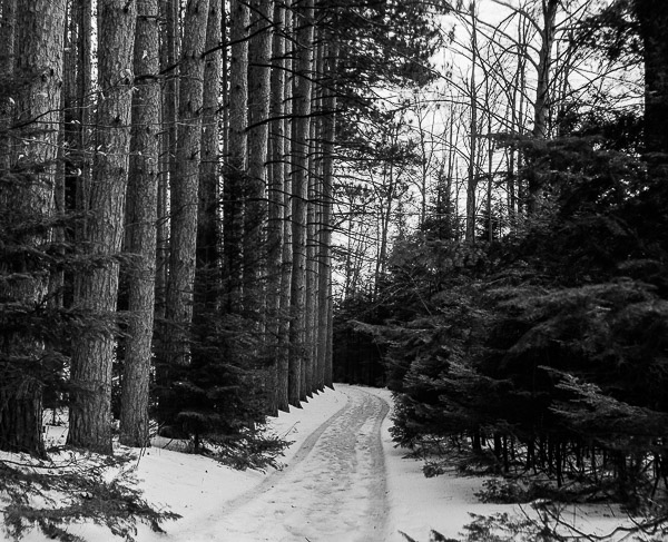 _SNY3555-Pano-Edit.jpg