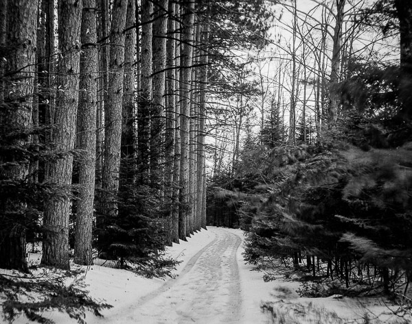 _SNY3558-Pano-Edit.jpg