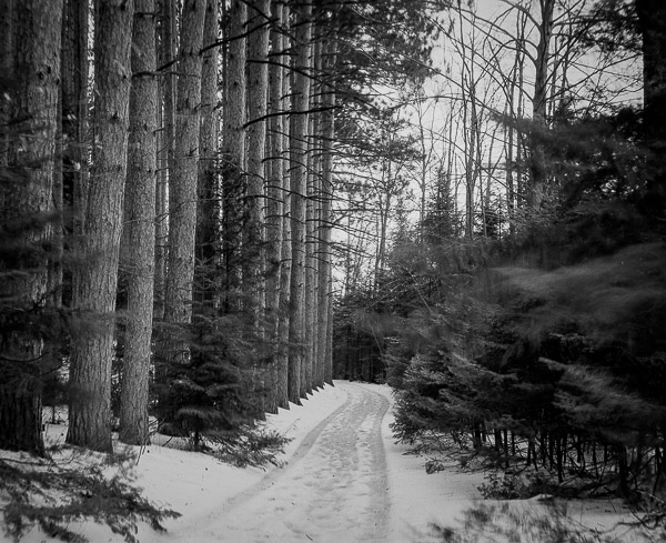 _SNY3562-Pano-Edit.jpg