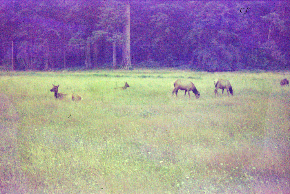 a001.jpg