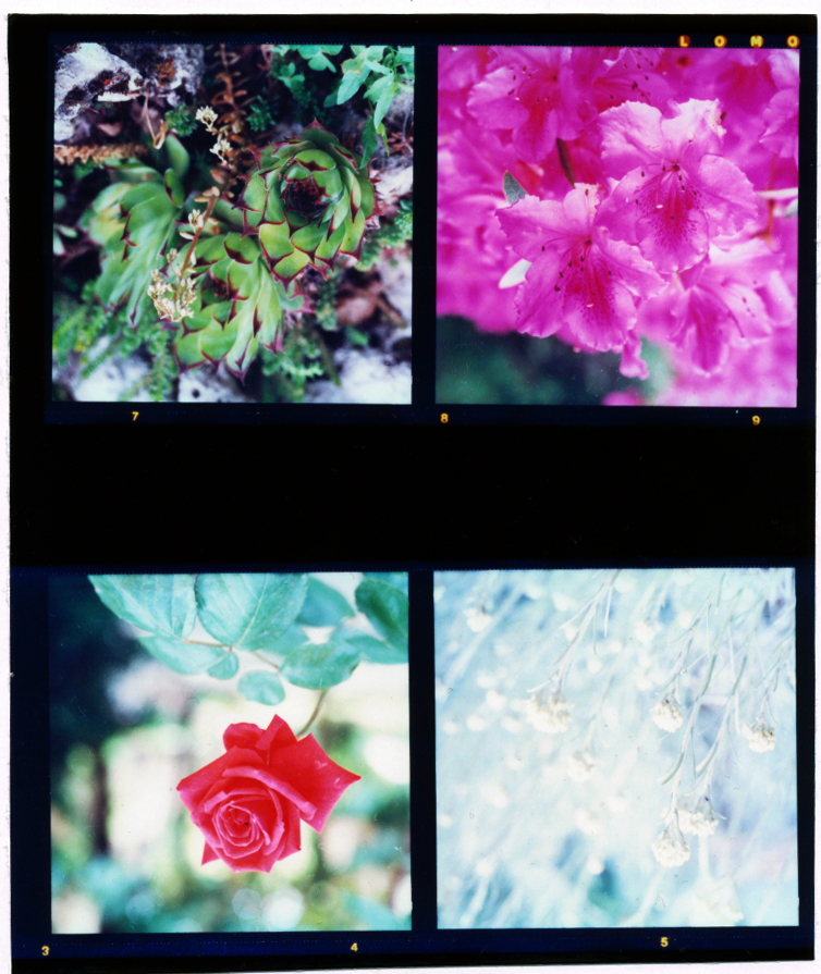 a01.jpg