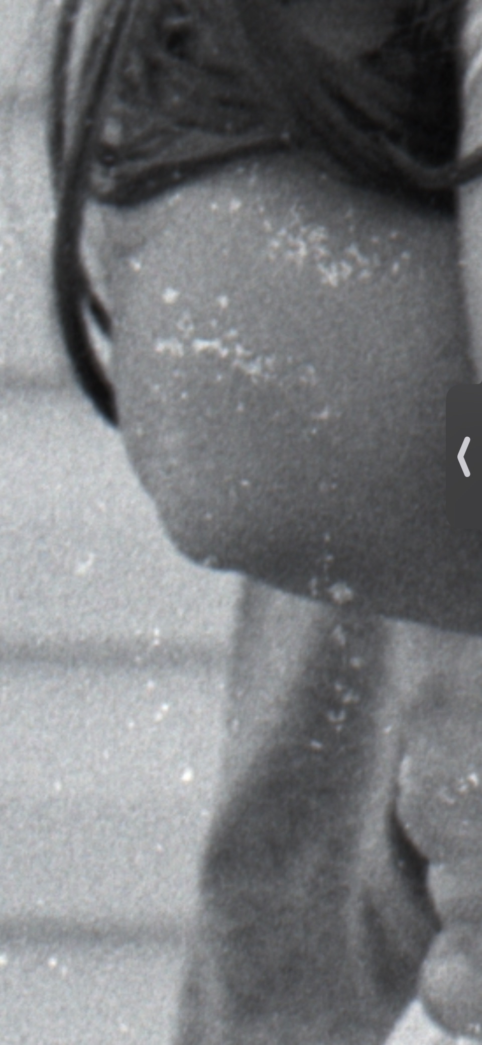 A1449492-B2B0-45D0-9938-3EA1F32DFFB2.jpeg