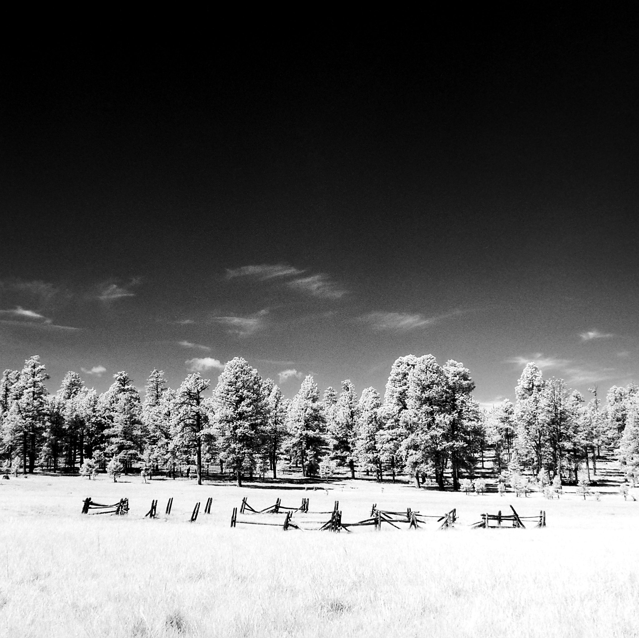A4356B29-9B4A-4D00-8A4C-1779898648B0.jpeg