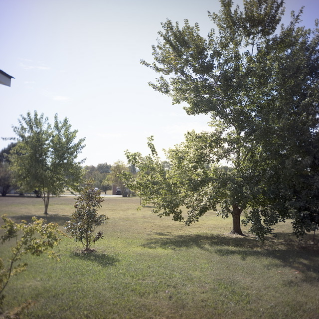 A6DC79A1-1936-4271-BFDC-42ADB8DA198A.jpeg